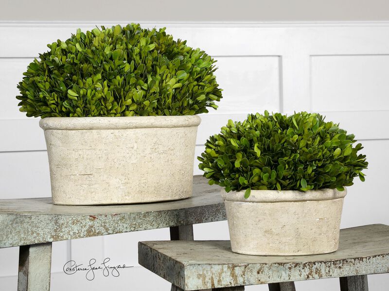 Uttermost Oval Domes Preserved Boxwood Set/2